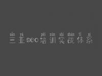 三亚seo培训实战体系 探索者seo顾问团队