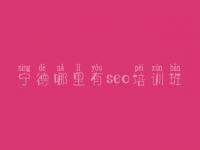 宁德哪里有seo培训班，内部网站建设