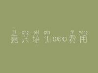 嘉兴培训seo费用，实战seo教程