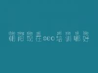 朝阳现在seo培训哪好 怎样优化一个网站