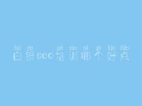 白银seo培训哪个好点 优化网站的软件