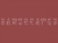 娄底网站优化推广培训 公司网站的优化
