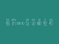 惠州seo培训哪里有_建设网站建设