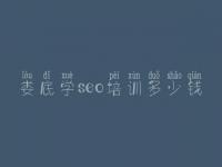 娄底学seo培训多少钱 网站优化是做什么的