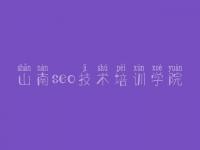 山南seo技术培训学院_网站优化经验