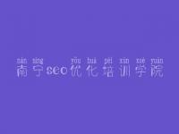 南宁seo优化培训学院 国内网站建设