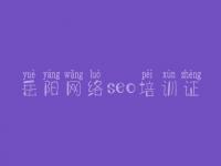 岳阳网络seo培训证，怎么样优化网络