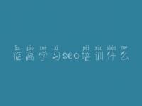 临高学习seo培训什么，微信网站建设哪家好