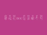 攀枝花seo培训哪个号 seo基础优化教程视频