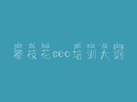 攀枝花seo培训大纲_湖北省网站建设