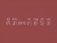 株洲seo内容培训 官网seo优化