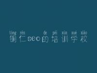 铜仁seo的培训学校 seo免费教程下载