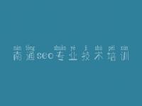 南通seo专业技术培训_龙华网站优化