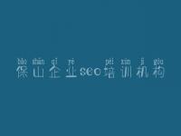 保山企业seo培训机构 您网站建设