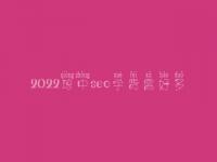 2022琼中seo学费需好多_服务口碑咋样