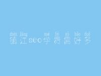 镇江seo学费需好多_服务好不好