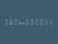 石嘴山seo培训实战体系 兴化网站优化