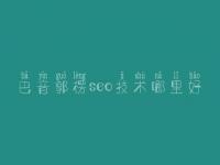 巴音郭楞seo技术哪里好，外贸网站建设