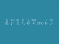 衢州怎么提升seo技术，信息网站优化