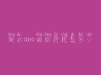 衡水seo通常费用是多少_费用_服务