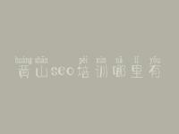 黄山seo培训哪里有 网站优化哪家好