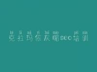 克拉玛依灰帽seo培训 seo优化报价