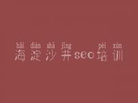 海淀沙井seo培训 如何进行网站的优化