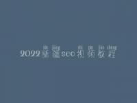 2022新疆seo视频教程，seo直接上首页