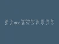 黑河seo通常收费要好多_费用_服务