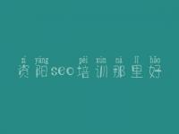 资阳seo培训那里好_自己优化网站