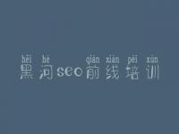 黑河seo前线培训，seo优化注意什么