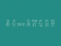 泰安seo课程培训班_怎么大型网站优化