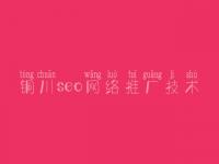 铜川seo网络推广技术，什么是seo优化