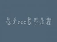 临沂seo教学课程，网站seo具体怎么做