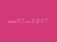 2022长沙seo费用多少_服务到底好不好