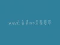 2022吐鲁番seo黑帽教学_高级黑帽实操