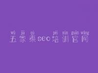 五家渠seo培训官网_seo网站关键词优化公司