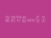 朝阳中国seo培训，网站seo优化价格
