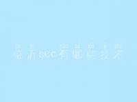 临沂seo有哪些技术，seo基础教程之seo
