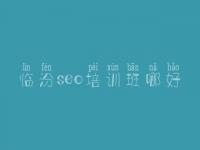 临汾seo培训班哪好_怎样建设一个公司网站