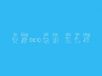 安康seo培训 怎么样 网站建设公司官网