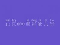 山东seo课程哪儿好_seo具体怎么做优化