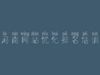 河南网站优化排名培训_seo自学教程网