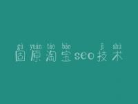 固原淘宝seo技术_实战seo视频教程