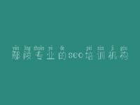 鄢陵专业的seo培训机构 大型网站建设