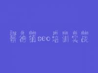 景德镇seo培训实战，网站网站建设网站