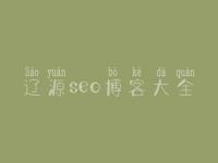 辽源seo博客大全_网络建设开发