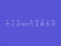 七台河seo究竟哪里好_收费好多