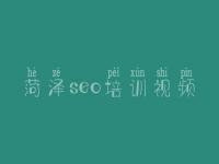 菏泽seo培训视频，网站优化专家