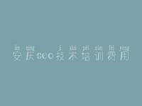 安庆seo技术培训费用 怎么建设网站